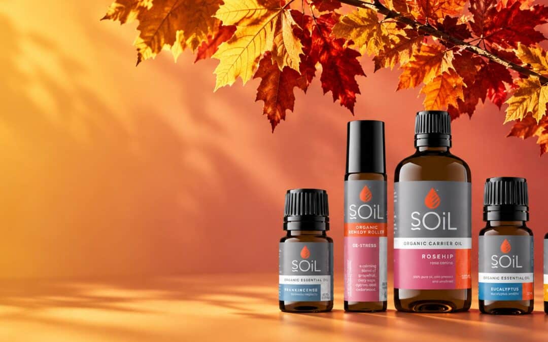 The Autumn Essential Bundle: 5 Oils to help you stay grounded this season
